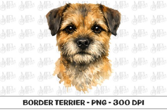 Download Border Terrier Watercolor Portrait PNG - Terrier Collection