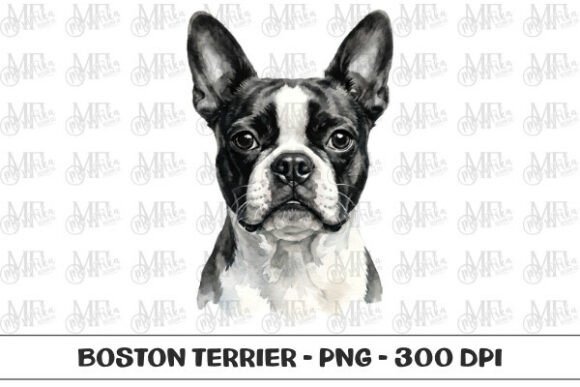 Download Boston Terrier Watercolor Portrait PNG - Terrier Collection