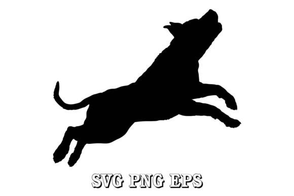 Download American Pit Bull Terrier Jump Dog - Terrier Collection