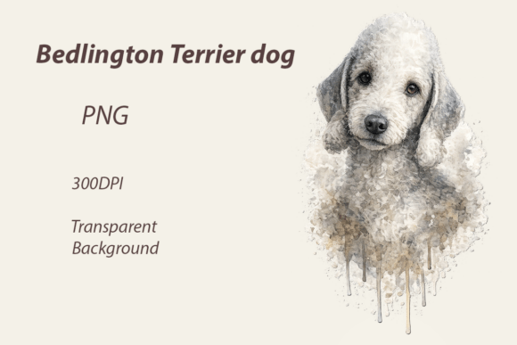 Download Watercolour Bedlington Terrier Dog Png - Terrier Collection